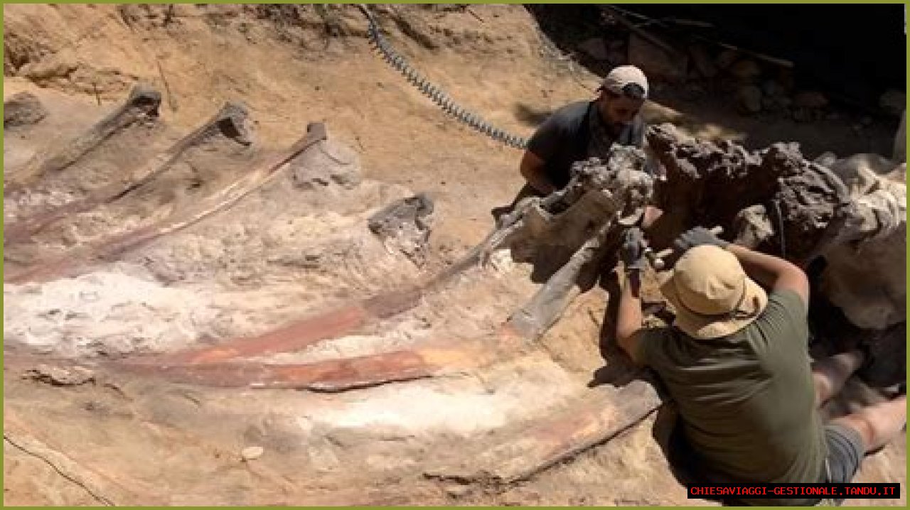 Digging Deep Into The Abby Berner Leaks: Uncovering Secrets And Consequences